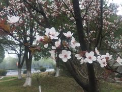 -南京邮电大学(仙林校区)