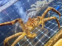 -小满海鲜·别院(天津旗舰店)