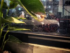 -脉冲品质汽美·贴膜(闵行店)