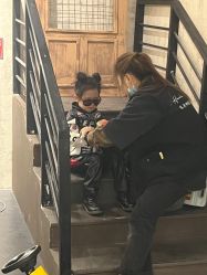 -花开映像儿童摄影