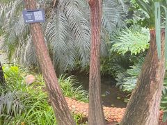 -石家庄市植物园
