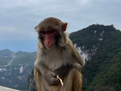 -重庆云阳龙缸景区