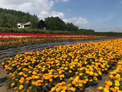 -富田农场