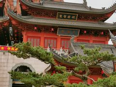 -上海东林寺(金山区)