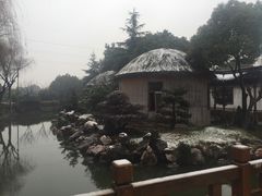 -渭塘酒家(生态园店)