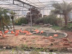 -无锡动物园·太湖欢乐园