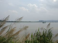 -羚羊峡古栈道森林公园