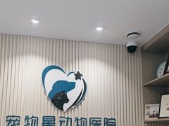 -宠物星动物医院·眼科·异宠·猫科(江南大道总院)