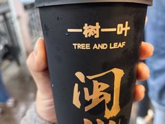-一树一叶·福建茶档(石鼓路店)