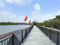 -东寨港红树林旅游区