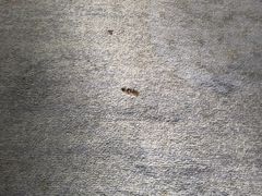 -杭州伊美大酒店