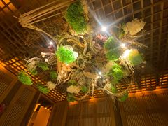 -叶叶菩提·晋福宫