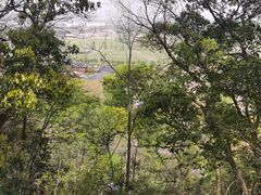 -上海佘山国家森林公园天马山园