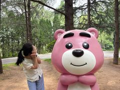 -日照海滨国家森林公园