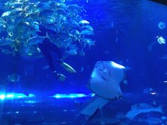 -华夏文旅海洋公园