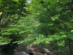 -龙头寺公园