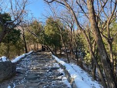 -阳台山自然风景区