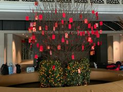 -春晖园度假酒店温泉