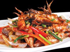 酱爆墨斗鱼-睿柏云酒店-餐厅