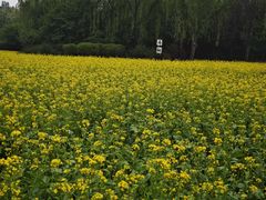 -北坞公园