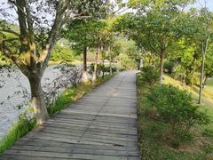 -东莞市大岭山森林公园