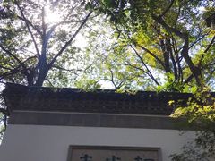 -韬光茶庵