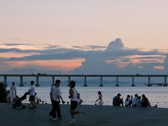 -宝安西湾红树林湿地公园