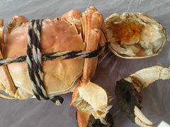 -乡乐园蟹庄·阳澄湖农家乐