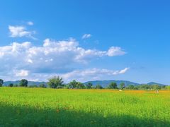 -良渚古城遗址公园
