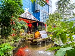 -花溪雨·森林餐厅(石基店)