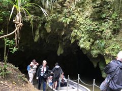 -怀托摩萤火虫洞