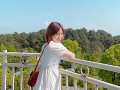 -铁山坪森林公园