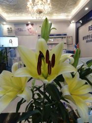 -蕾特恩专业祛痘