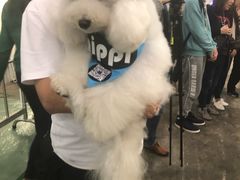-香港会议展览中心演讲厅