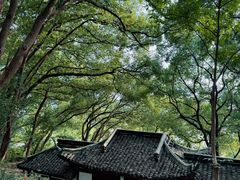 -上海佘山国家森林公园天马山园