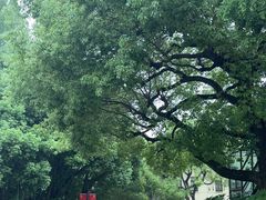 -宋庆龄陵园
