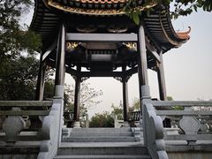 -野狸岛