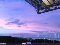 -Ah Hung D24 Sultan Durian