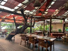 大堂-卷心菜和避孕套餐厅(Pattaya)