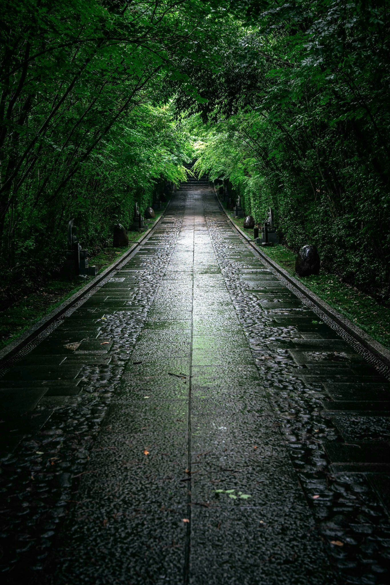 审美积累|通往幽静深处的路