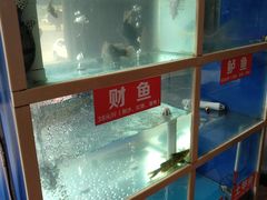 水产区-一撮毛美食城(全力一路店)