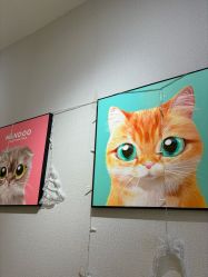 -洗脸猫·洗脸吧