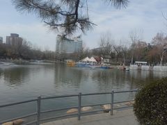 -莲湖公园