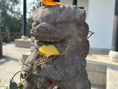-天目湖山水园