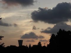-上海滨江森林公园