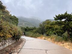 -北京西山国家森林公园