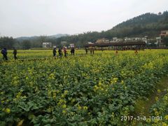 -红山村