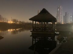 -前关湿地公园