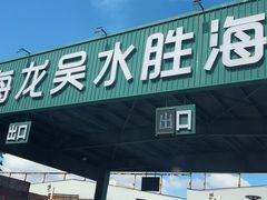 -上海龙吴水胜海发市场