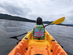 -浔味·山屿湖·正宗淳牌全鱼宴老字号